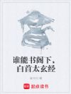 谁能书阁下,白首太玄经